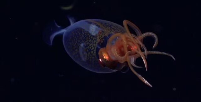 WhatsApp Image 2025-04-23 at 17.34.10