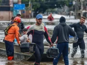 Lei cria Política de Acolhimento para animais resgatados em desastres