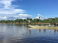 Peixes migratórios de água doce estão entre os mais ameaçados no mundo