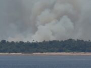 Fumaça encobre pontos em Manaus após forte incêndio atingir área de vegetação no distrito de Cacau Pirêra