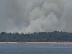Fumaça encobre pontos em Manaus após forte incêndio atingir área de vegetação no distrito de Cacau Pirêra