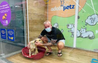 Em Manaus, cachorro resgatado das ruas é adotado por turista e vai morar na Holanda