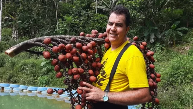 O botânico Valdely , Kinupp segura um cacho de buriti, fruto típico da Amazônia e do Cerrado.