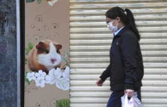 Hong Kong vai sacrificar mais de 2 mil roedores após hamsters pegarem Covid