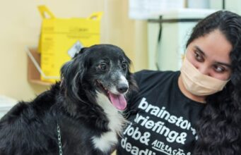 Nove bairros de Manaus recebem ações da campanha antirrábica animal nesta semana; veja lista