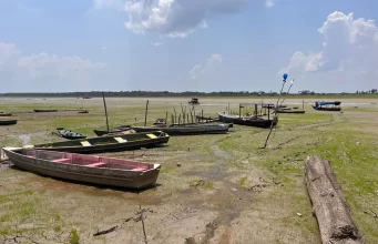 Veja fotos da seca severa no Amazonas