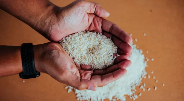 arroz