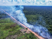 Justiça nega pedido da AGU e mantém suspensa reconstrução de trecho central da BR-319