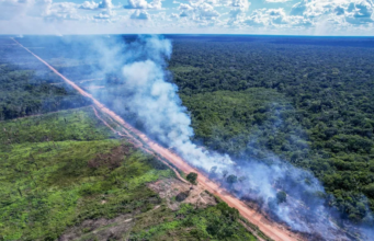 Justiça nega pedido da AGU e mantém suspensa reconstrução de trecho central da BR-319