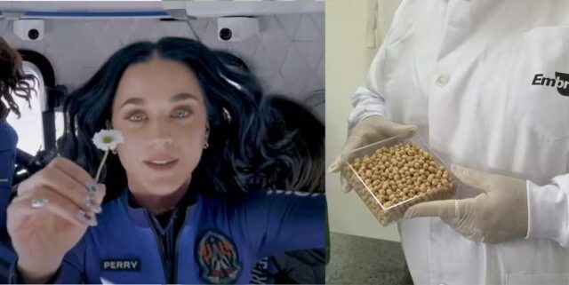 WhatsApp Image 2025-04-25 at 09.54.02