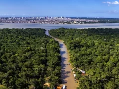 Pesquisadores de RR encontram provas de que dinossauros viveram na Amazônia