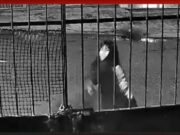 Vídeo mostra discussão dias antes de suspeito matar vizinha na Zona Sul Manaus