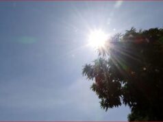 Amazonas registra menor número de focos de calor da história, aponta Inpe