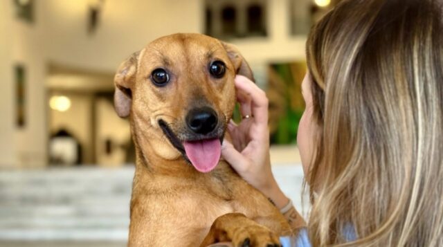 WhatsApp Image 2026-02-10 at 12.40.33