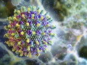 Ministério da Saúde diz que vírus Nipah não ameaça o Brasil