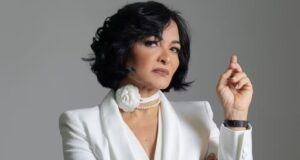 STF rejeita habeas corpus de ex-secretária da Aleam investigada no núcleo político do CV no Amazonas