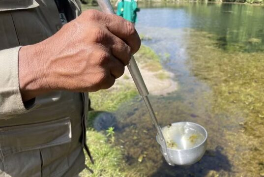 Amazonas começa a distribuir novo medicamento para tratar malária em crianças no interior