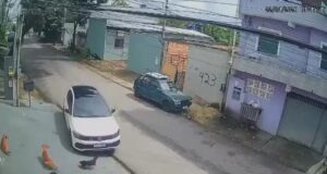 Veja o que se sabe sobre o caso do motorista preso após atropelar cães em Manaus
