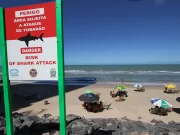 Vítimas de ataques de tubarão em PE têm membros amputados