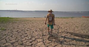 Falta de emprego e renda impulsiona desmatamento no Amazonas, diz estudo