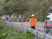Ventos levam caos ao Rio de Janeiro: veja estragos e números do apagão