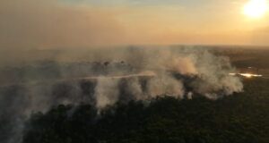 Incêndio florestal atinge trecho da BR-319 e mobiliza bombeiros há três dias