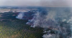 Fogo avança no interior do Amazonas e destrói área de quase mil campos de futebol