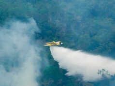 Aviões do Ibama lançam mais de 10 mil litros de água sobre áreas atingidas por incêndios no Amazonas