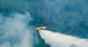 Aviões do Ibama lançam mais de 10 mil litros de água sobre áreas atingidas por incêndios no Amazonas