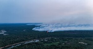 Incêndios colocam mais da metade das cidades do Amazonas em emergência; fumaça suspende aulas