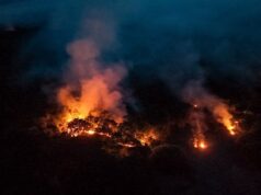 Incêndio de grandes proporções atinge terra indígena Mura e completa mais de 40 dias no AM