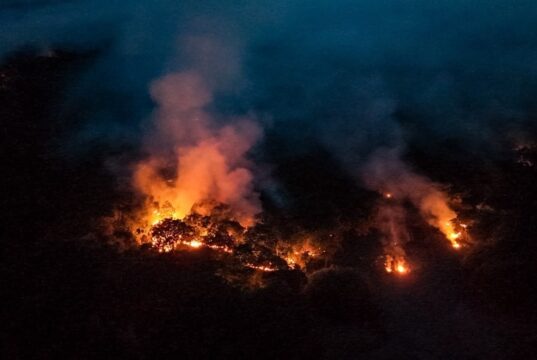 Incêndio de grandes proporções atinge terra indígena Mura e completa mais de 40 dias no AM